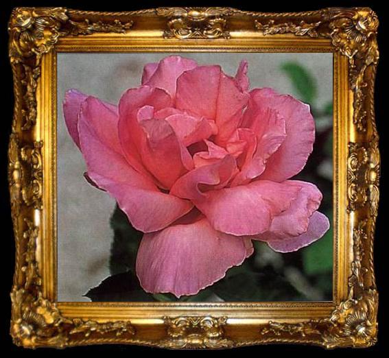 framed  unknow artist Still life floral, all kinds of reality flowers oil painting  220, ta009-2